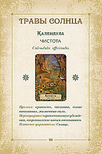 Оракул. Магия звезд и растений. Таро, гадания и знаки (55 карт и руководство)